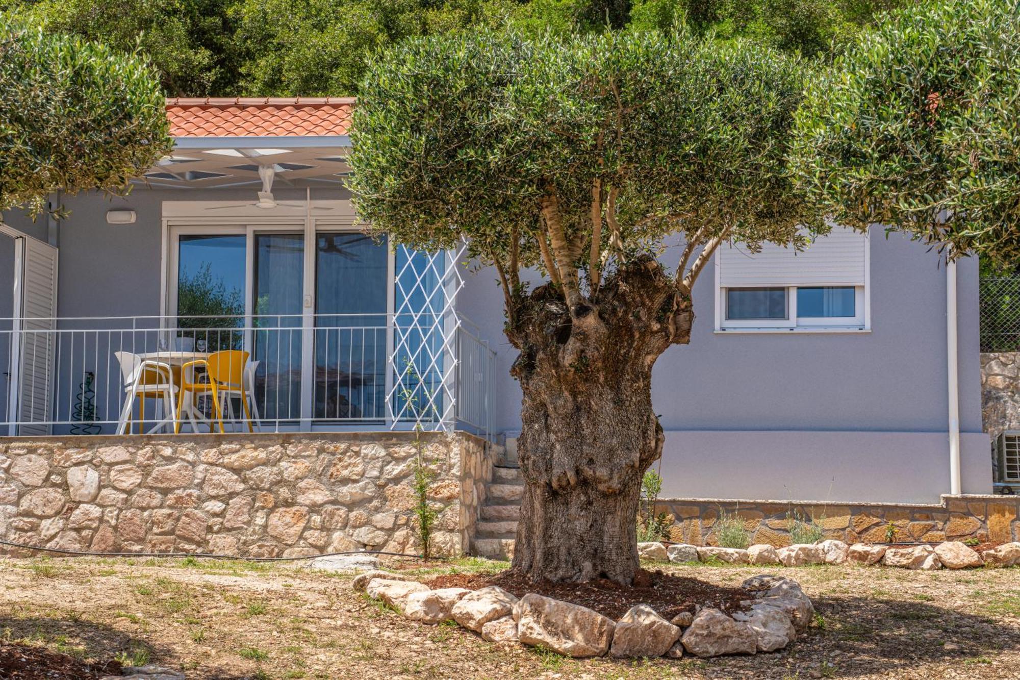 Foki Beach House Fiskardo Extérieur photo